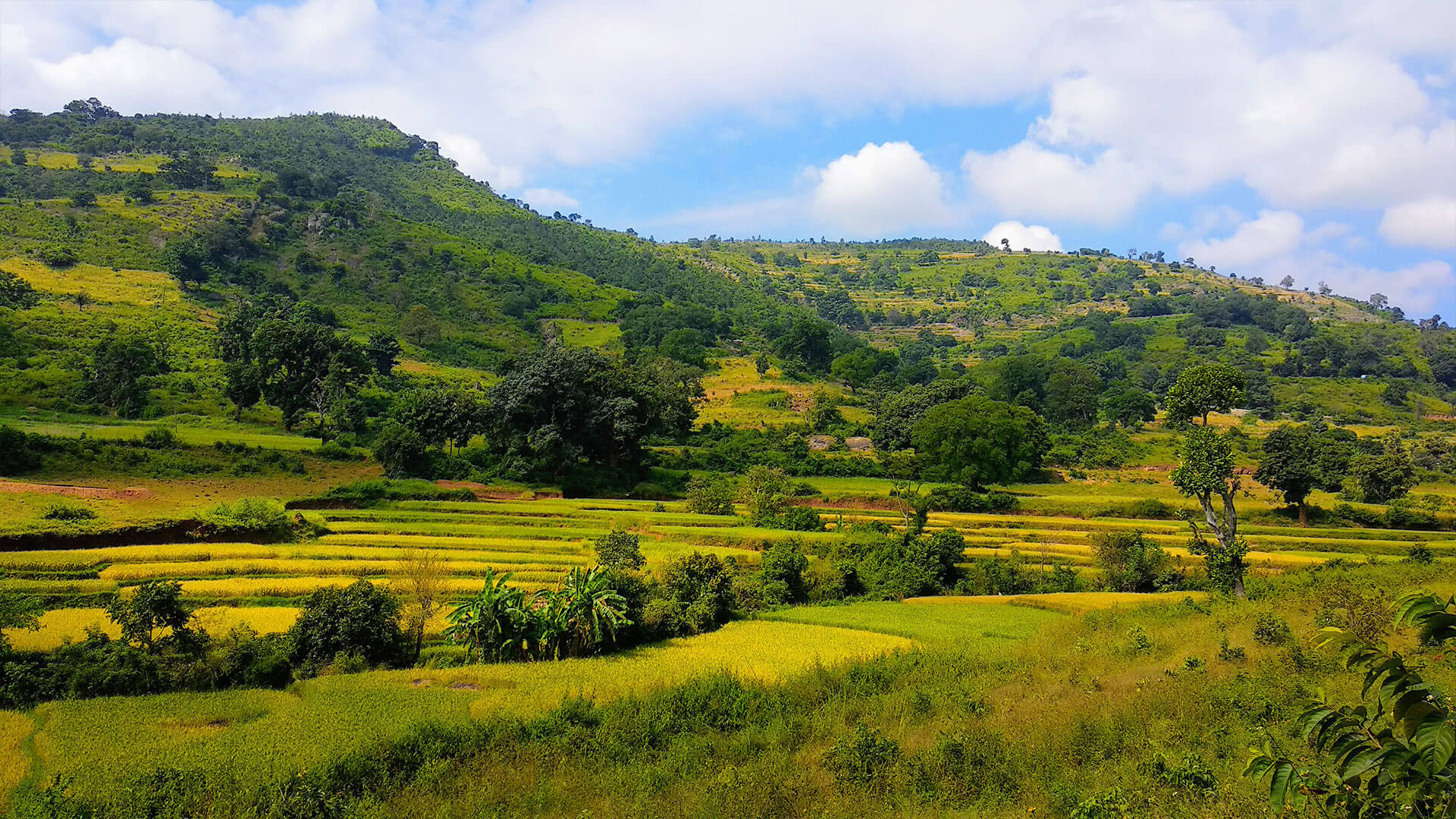 araku valley best time to visit